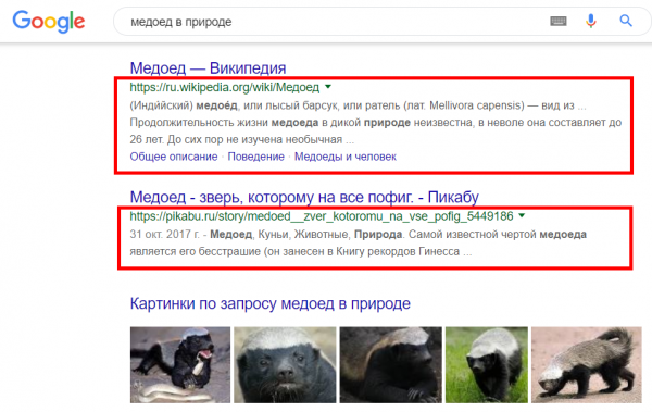 Что такое сниппет, где он показывается и как на него повлиять ...